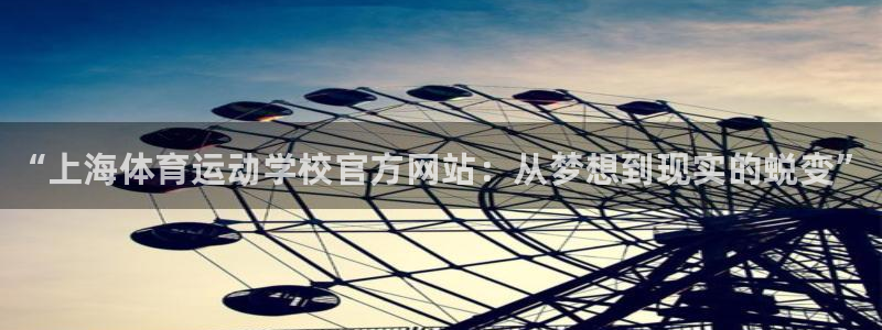 vsport体育官方正版app新能源
