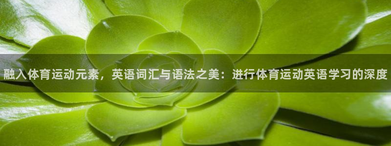 vsport体育官网下载招商电话地址是多少：融入体育