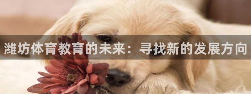 vsport体育官网下载招商电话号码是多少啊：潍坊体