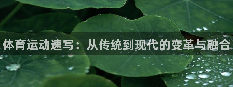 vsport体育官方正版app娱乐首页官网下载：体育