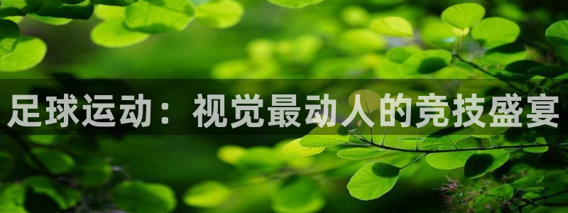 vsport体育官网下载招商电话号码是多少：足球运动：视觉最