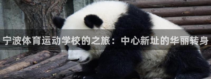vsport体育官网下载招商电话地址是多少：宁波体育运动学校