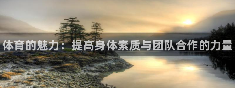 vsport体育官方正版app五金厂：体育的魅力：提高身体素