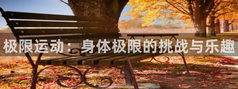 vsport体育官网下载平台是正规平台吗知乎：极限运动：身体