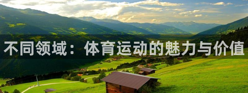 vsport体育官网下载招商：不同领域：体育运动的魅力与价值