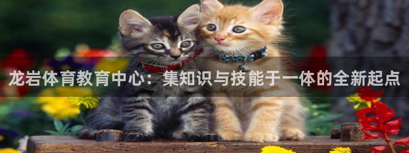 vsport体育官方正版app代理：龙岩体育教育中心：集知识