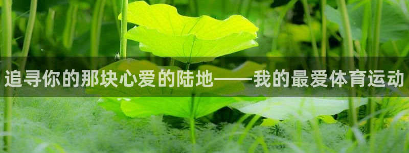 vsport体育官网下载平台是正规平台吗：追寻你的那