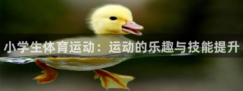 海南vsport体育官网下载发展怎么样：小学生体育运动：运动
