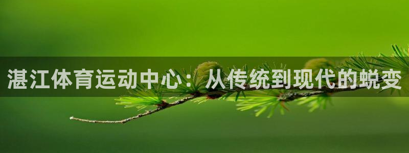 vsport体育官方正版app娱乐代理怎么样：湛江体
