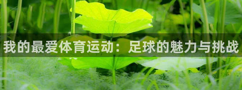 vsport体育官网下载平台假的吗是真的吗：我的最爱