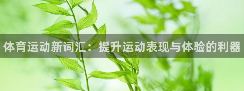 vsport体育官方正版app集团简介：体育运动新词