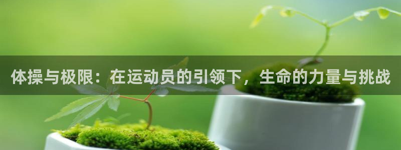 vsport体育官网下载平台是正规平台吗：体操与极限