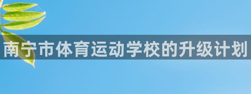 vsport体育官方正版app娱乐下载：南宁市体育运