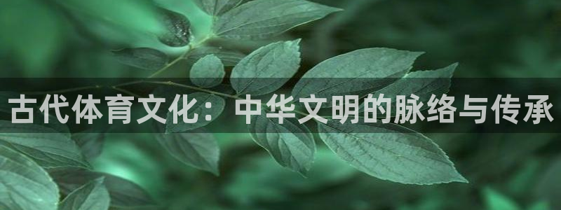 vsport体育官方正版app集团官网首页：古代体育