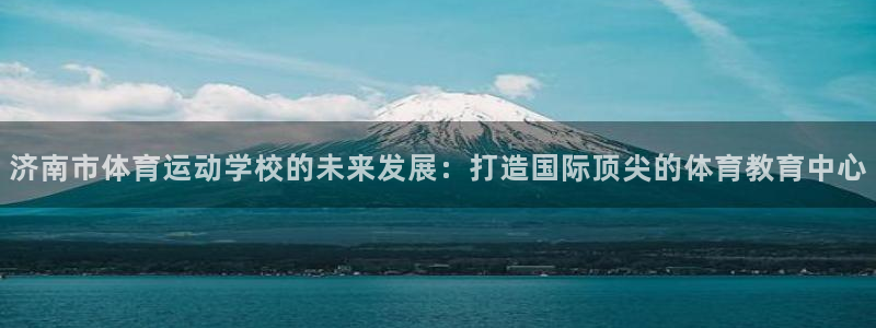 vsport体育官方正版app集团官网首页网址：济南市体育运