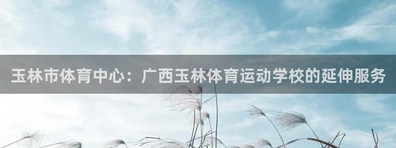vsport体育官网下载娱乐