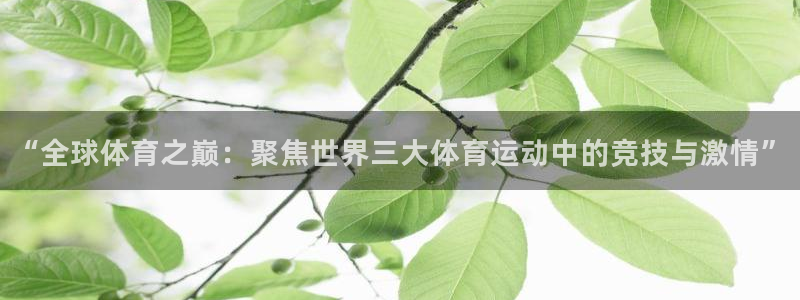 vsport体育官网下载招商电话地址：“全球体育之巅