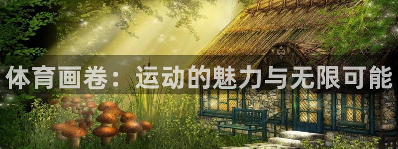vsport体育官方正版app娱乐平台：体育画卷：运动的魅力